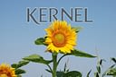 2f8f0bc-kernel.jpg
